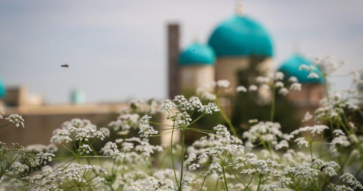 Ўзбекистоннинг бетакрор гўшалари сайёҳларга мунтазир